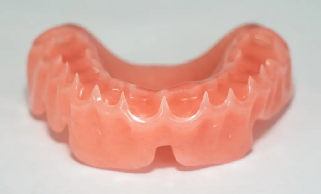 Base Gencive PMMA P5